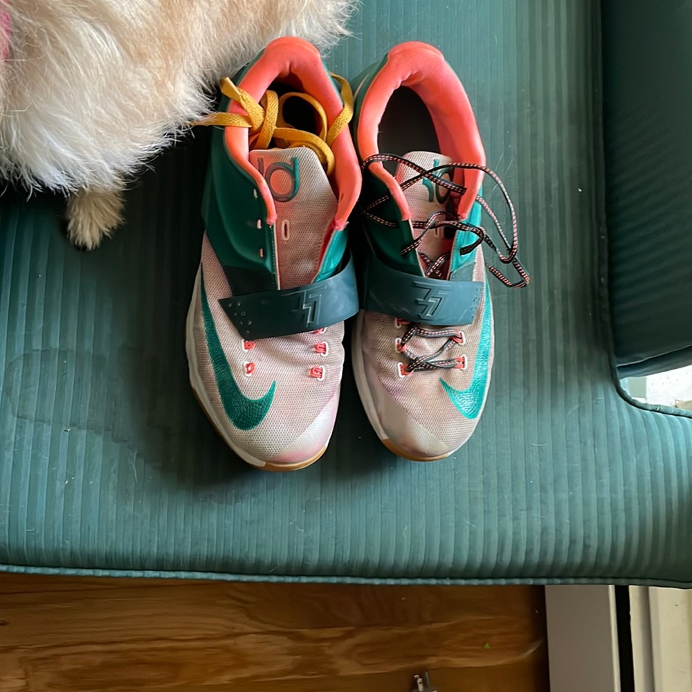 Size 13 KD shoes Nike Nice